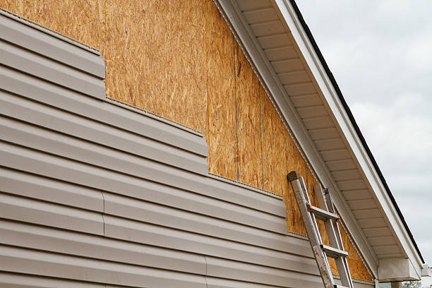 Professional Siding technician working in Junction City, KY